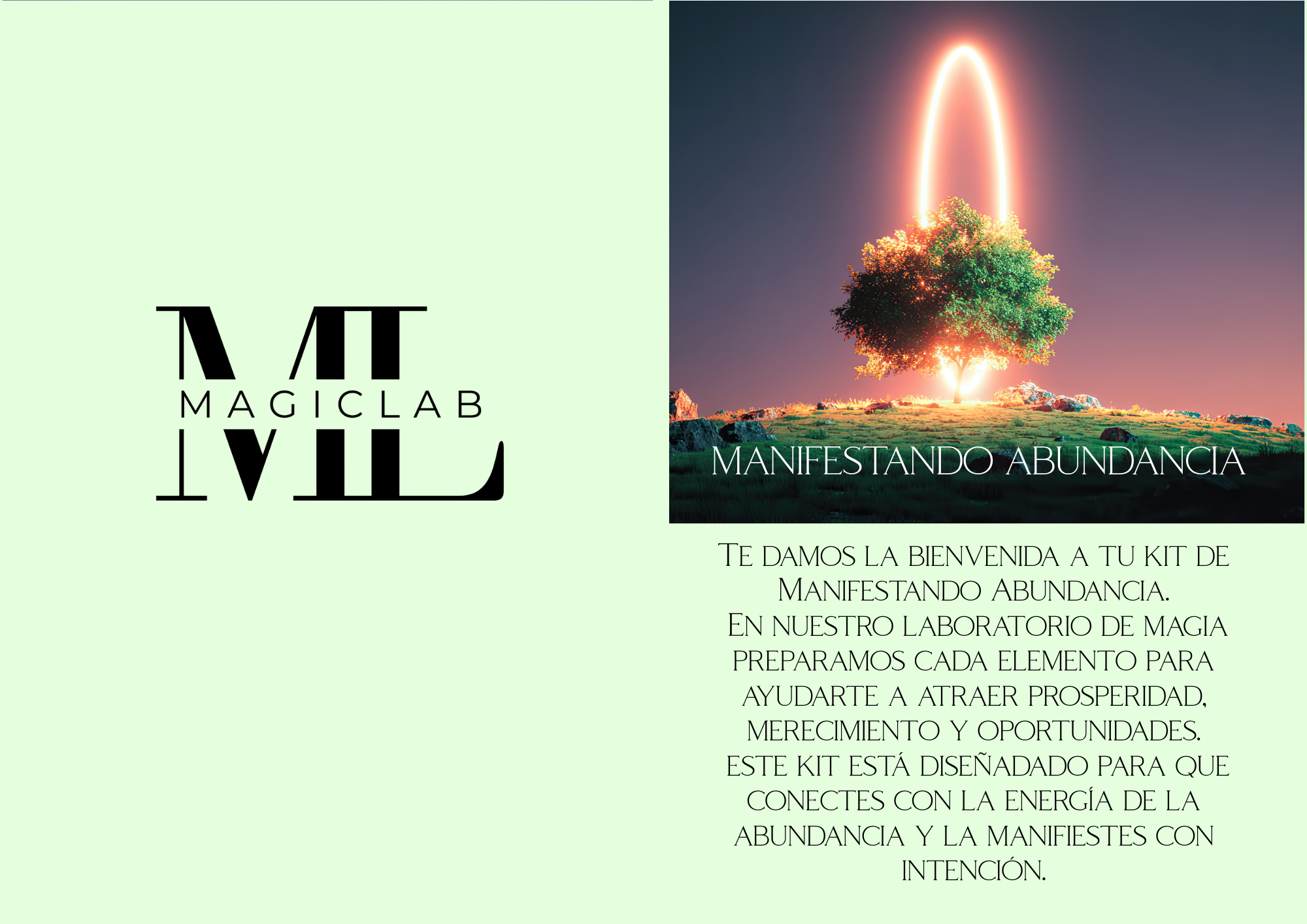 MANIFESTANDO ABUNDANCIA