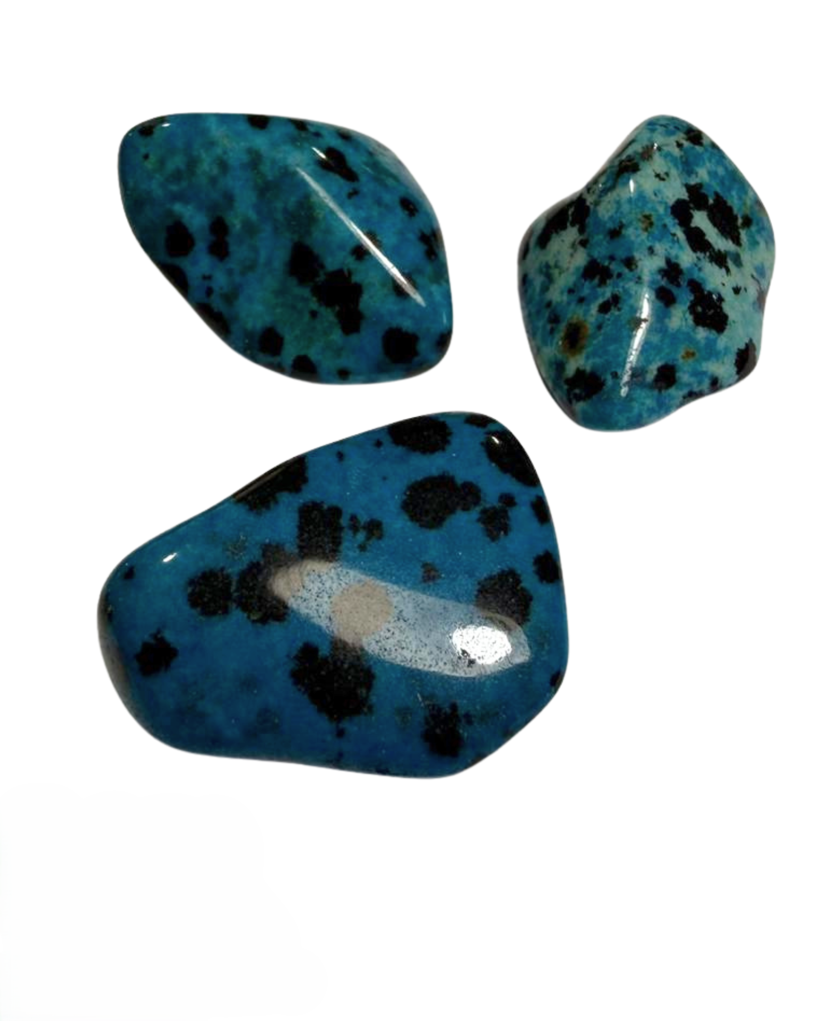 Colgante Dálmata Azul 15–25 mm